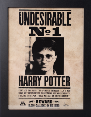 HARRY POTTER - Indésirable N°1 - Collector Print '30x40cm'