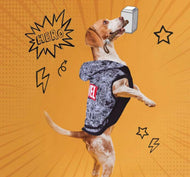 MARVEL - Pull pour Chien - XS