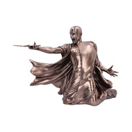 HARRY POTTER - Voldemort "Avada Kedavra" - Buste 24.5cm