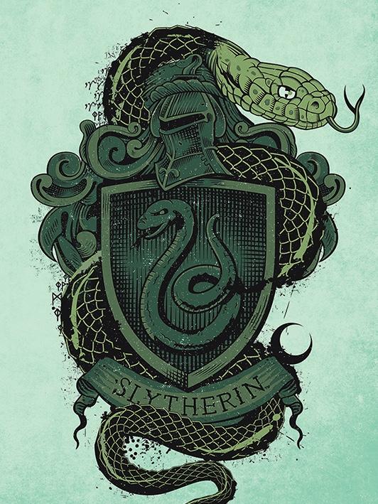 HARRY POTTER - Canvas 60X80 '18mm' - Slytherin
