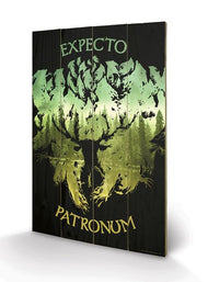HARRY POTTER - Expecto Patronum - Impression sur bois 40x59cm