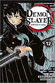 DEMON SLAYER - Tome 12