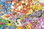 POKEMON - Puzzle 5000P - Pokemon Allstars