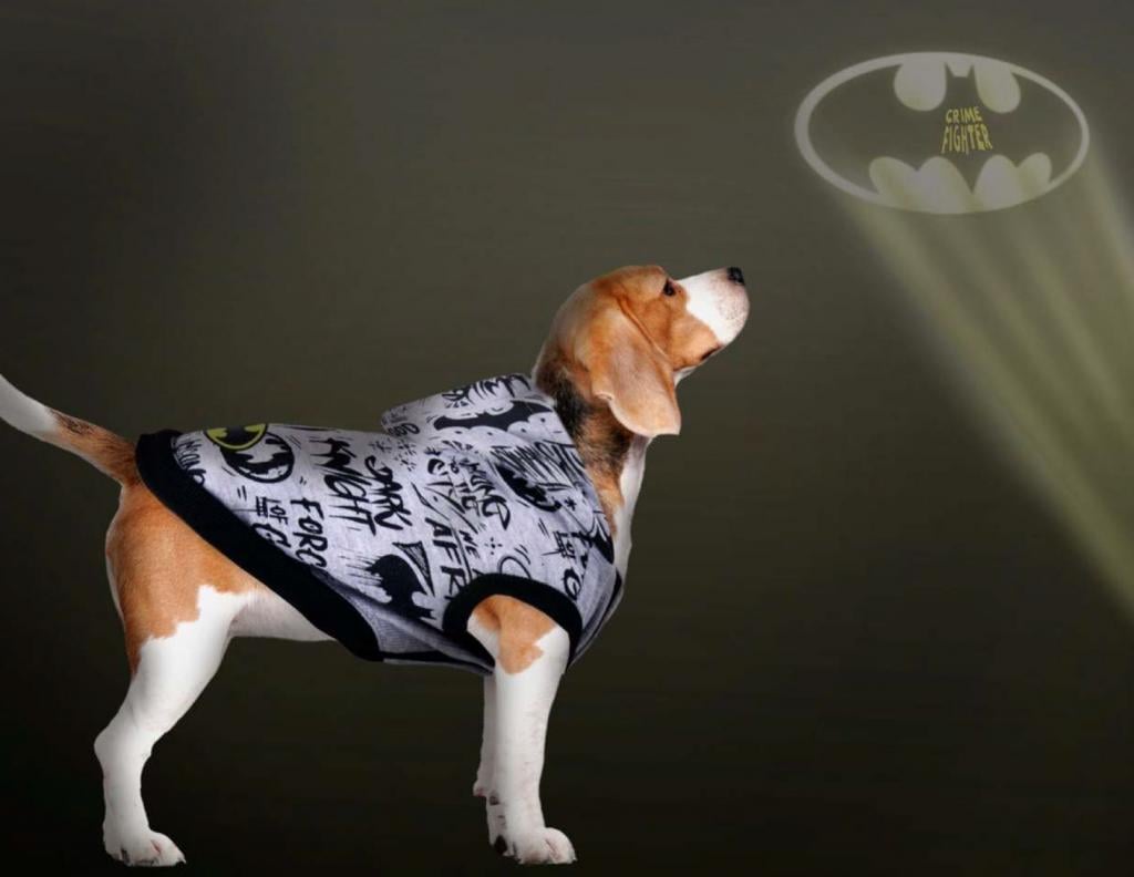 BATMAN - Pull pour Chien - M