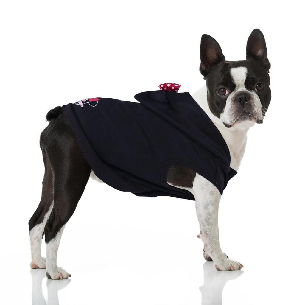 MINNIE - Pull Noir pour Chien - XXS