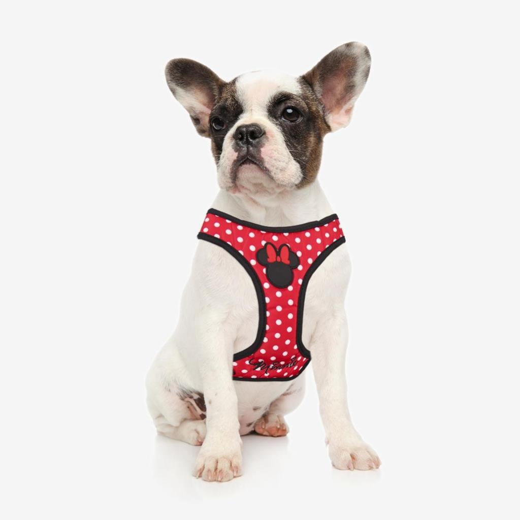 MINNIE - Harnais pour Chien - M/L