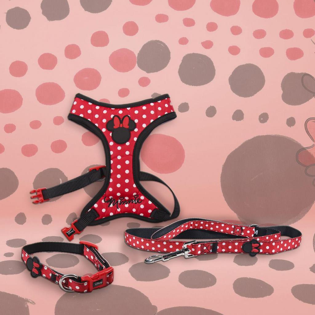 MINNIE - Harnais pour Chien - M/L