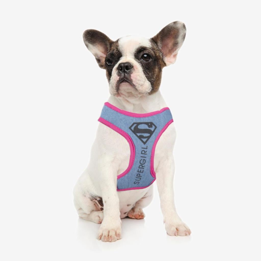 SUPERGIRL - Harnais pour Chien - XXS/XS