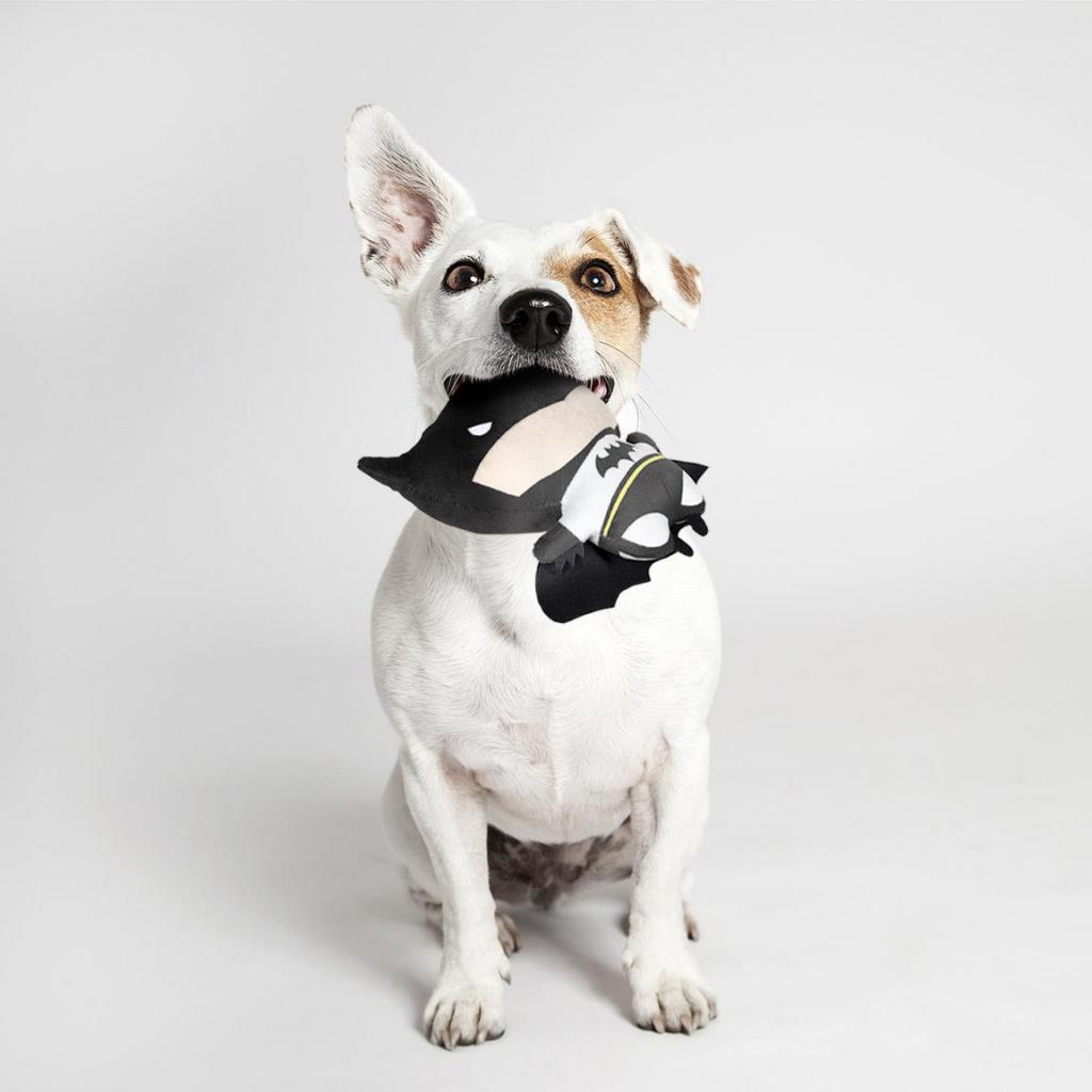 BATMAN - Jouet Peluche pour Chien