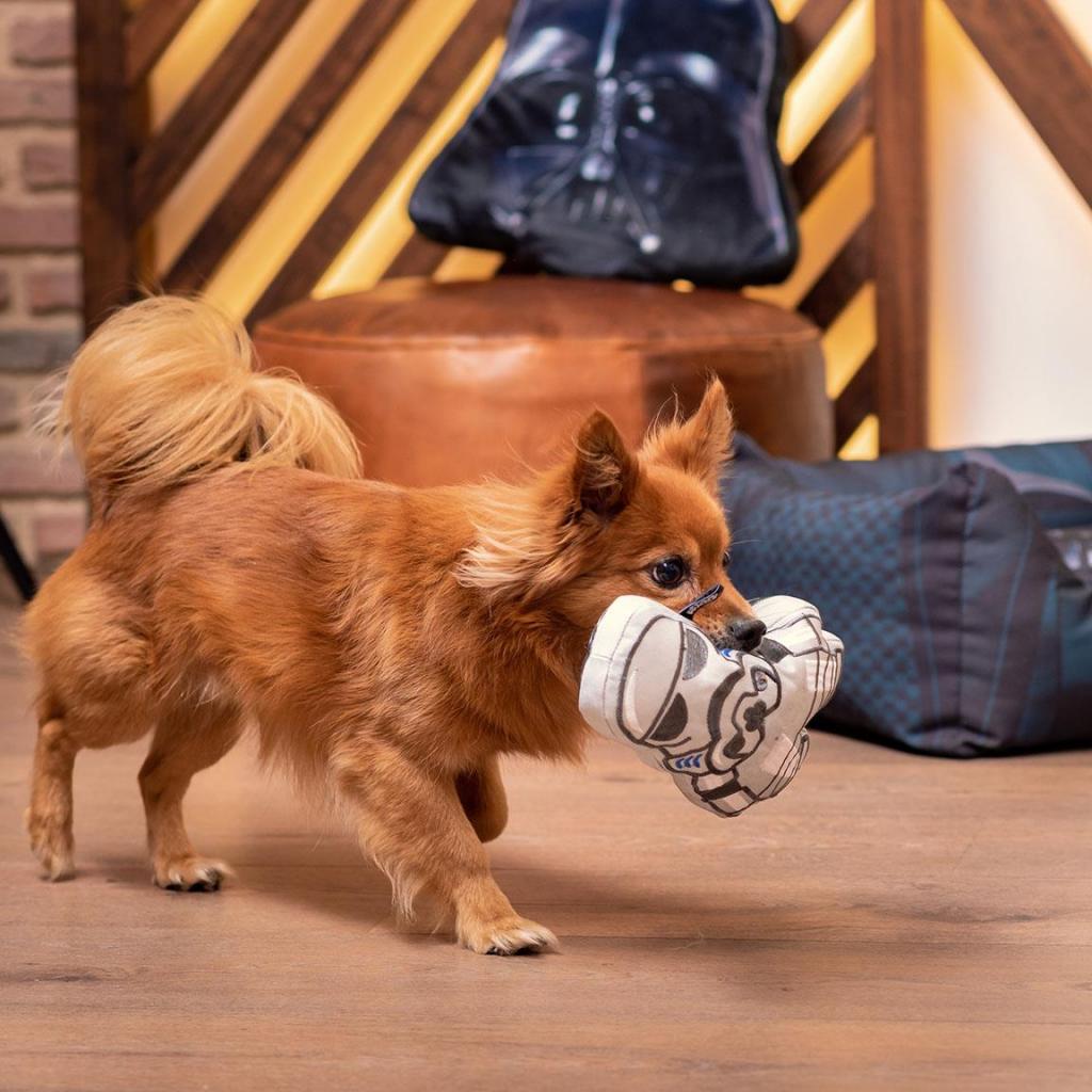 STAR WARS - Storm Tropper - Jouet Peluche pour Chien