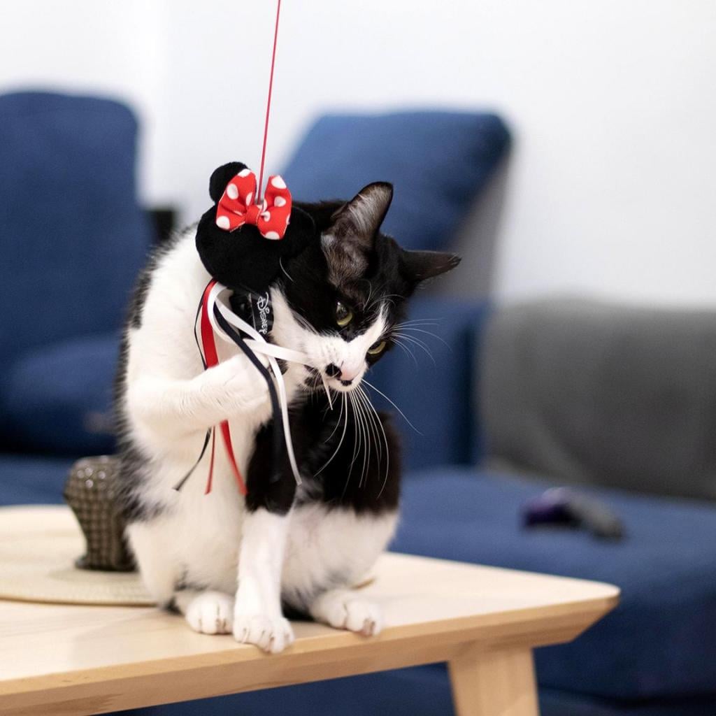 MINNIE - Jouet - Canne à Pêche pour Chat