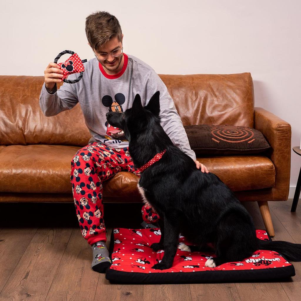 MINNIE - Jouets de Dentition en Corde pour Chien
