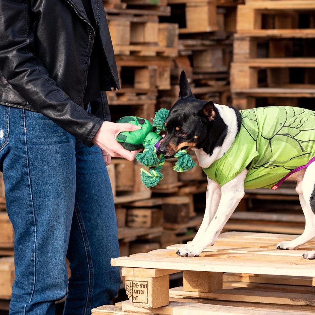 AVENGERS - Jouet en Corde pour Chien - Hulk