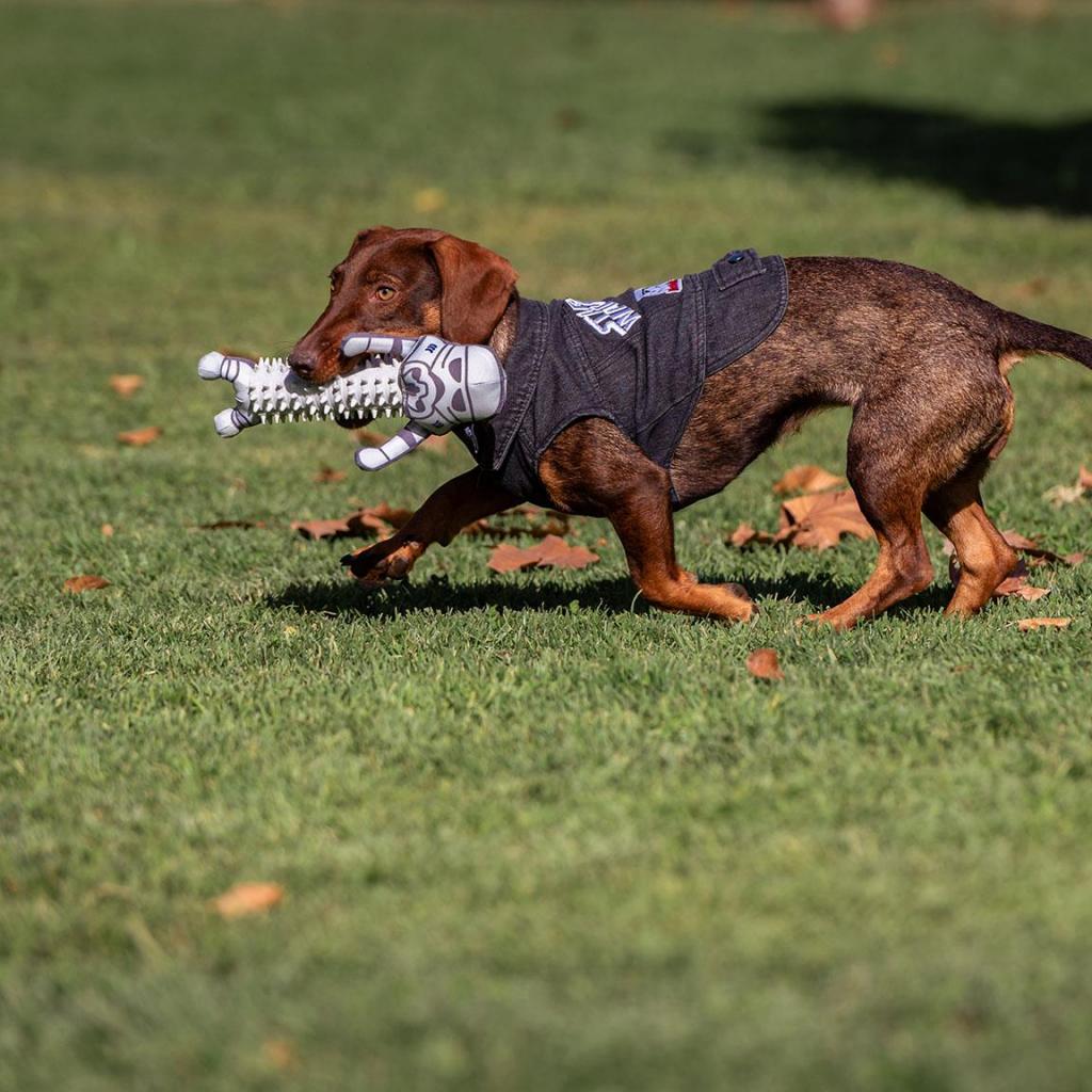 STAR WARS - Veste en Jeans pour Chien - M