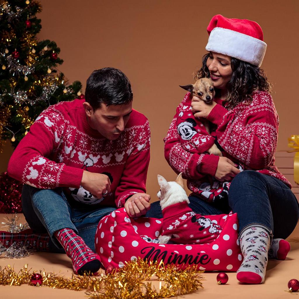 MINNIE - Pull en Tricot pour Chien - XS