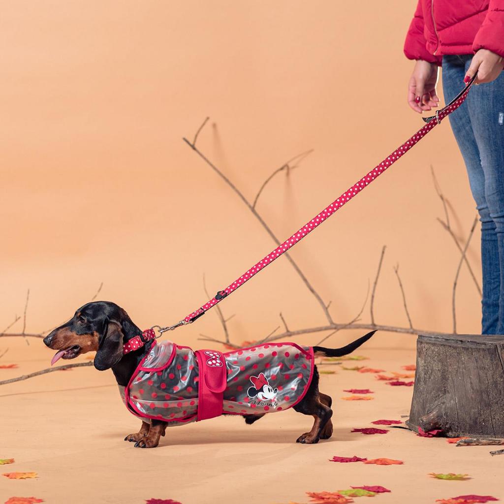 MINNIE - Imperméable pour Chien - M