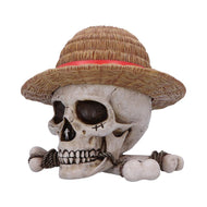 ONE PIECE - Luffy Jolly Roger - Boîte 17.5cm