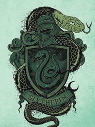 HARRY POTTER - Canvas 60X80 '18mm' - Slytherin