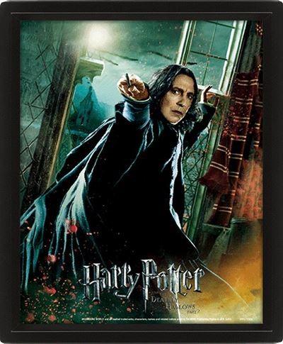 HARRY POTTER - Deathly Hallows - Poster lenticulaire 3D 26x20cm