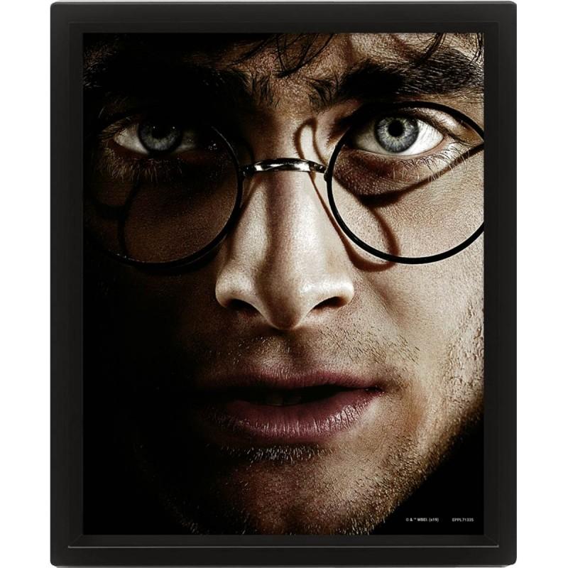 HARRY POTTER - Harry vs Voldemort - Poster lenticulaire 3D 26x20cm