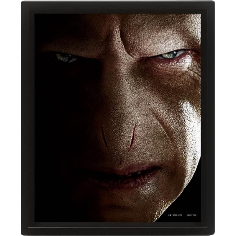 HARRY POTTER - Harry vs Voldemort - Poster lenticulaire 3D 26x20cm