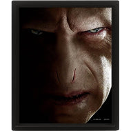 HARRY POTTER - Harry vs Voldemort - Poster lenticulaire 3D 26x20cm