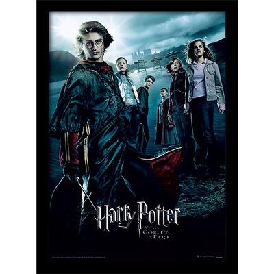 HARRY POTTER - La Coupe De Feu - Impression encadrée 30x40cm