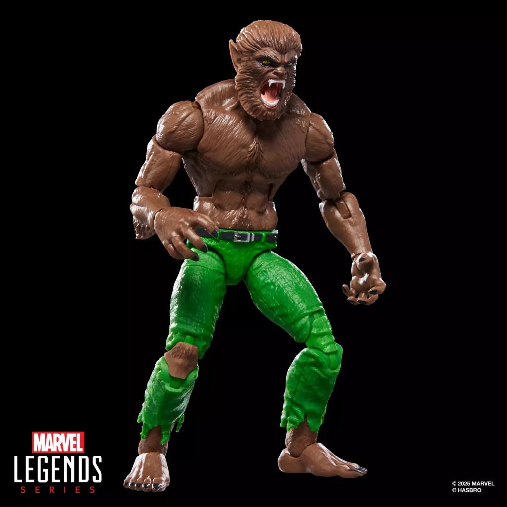 MARVEL - Werewolf by Night - Figurine Legends Series 15cm