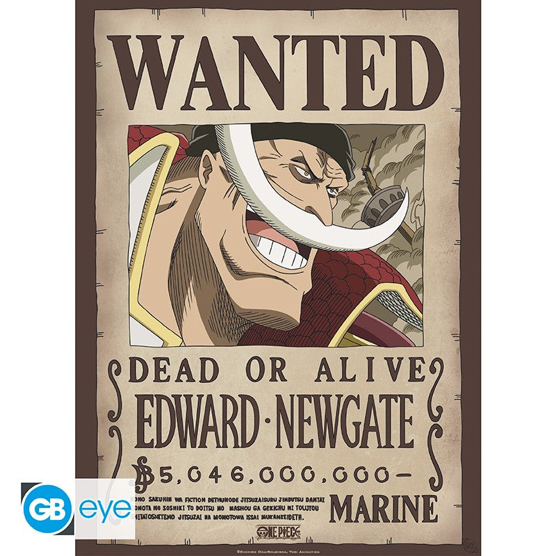 ONE PIECE - Wanted Roger & Barbe Blanche - Set de 2 posters '52x38'