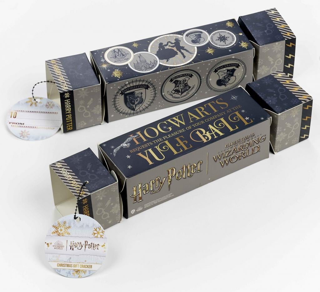 HARRY POTTER - Cracker Cadeau - Collier & Boucles d'Oreilles Lunettes