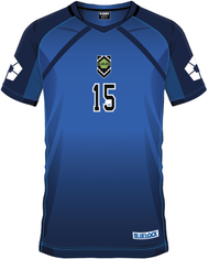 BLUE LOCK - Yoichi Isagi 15 - Maillot de Foot Homme (L)