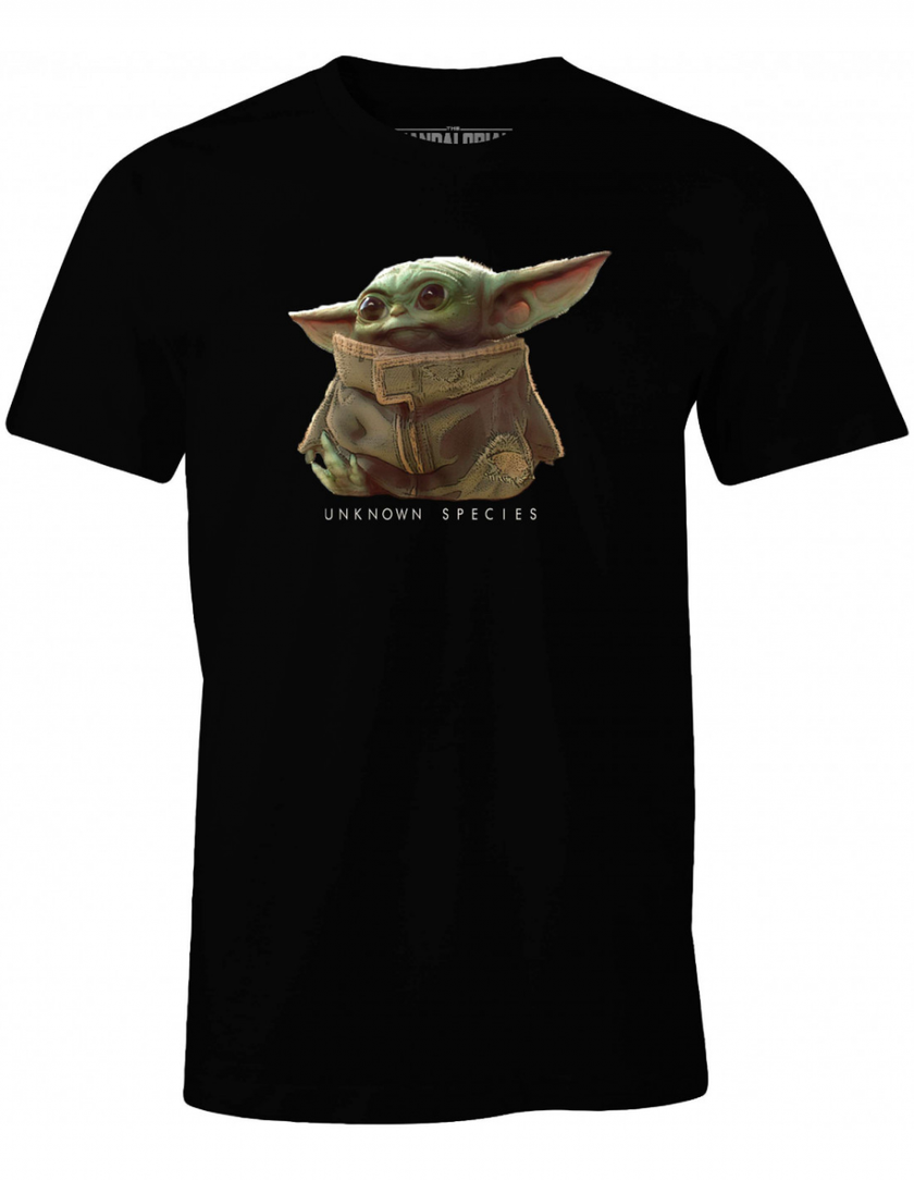 THE MANDALORIAN - Espèce inconnue - T-shirt homme (XXL)