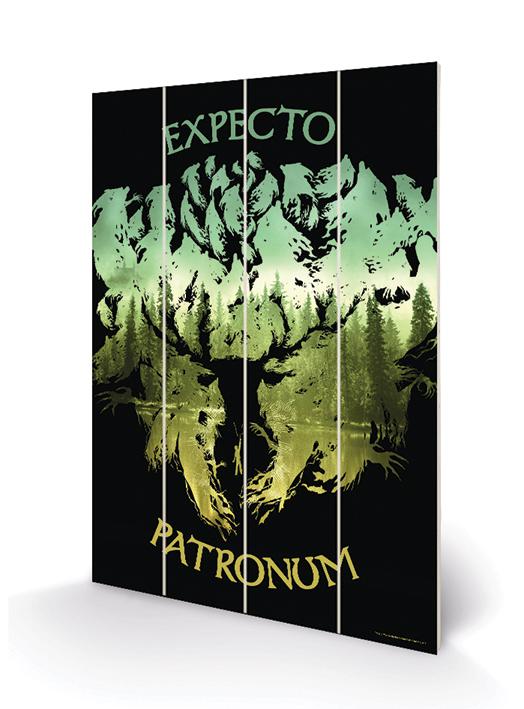 HARRY POTTER - Expecto Patronum - Impression sur bois 20x29.5