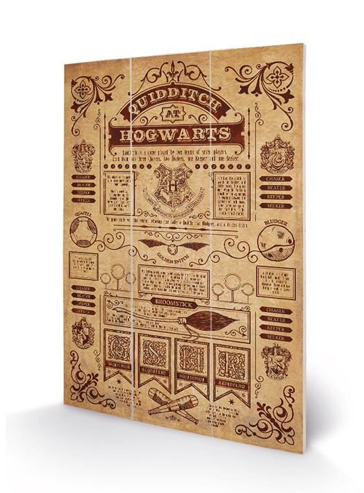 HARRY POTTER - Quidditch at Hogwarts - Impression sur bois 20x29.5