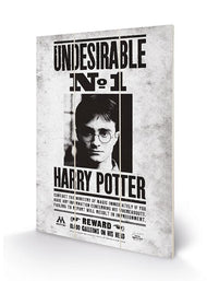 HARRY POTTER - Undesirable No1 - Impression sur bois 20x29.5