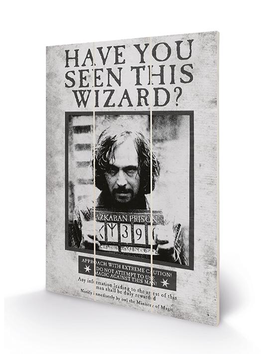 HARRY POTTER - Sirius Wanted - Impression sur bois 20x29.5