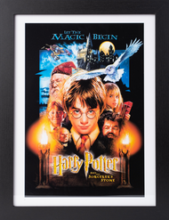 HARRY POTTER - A l'école des sorciers - Collector Print '30x40cm'