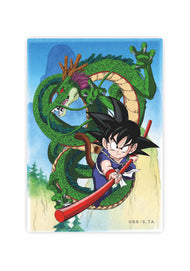 DRAGON BALL - Shenron et Goku - Magnet '10x15x1cm"