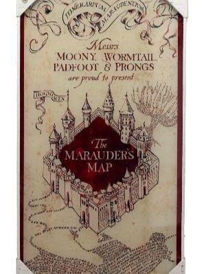 HARRY POTTER - Impression en Verre - Marauder's Map - 30X60 cm