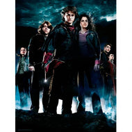 HARRY POTTER - Impression en Verre - Group HP4 - 30X40 Cm