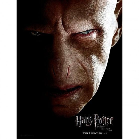 HARRY POTTER - Impression en Verre - Voldemort Face- 30X40 Cm
