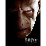 HARRY POTTER - Impression en Verre - Voldemort Face- 30X40 Cm