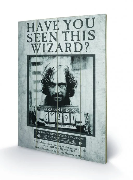 HARRY POTTER - Sirius Wanted - Impression sur bois 40x59cm