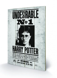 HARRY POTTER - Undesirable N° 1 - Impression sur bois 40x59cm
