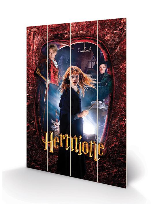 HARRY POTTER - Hermione - Impression sur bois 40x59cm