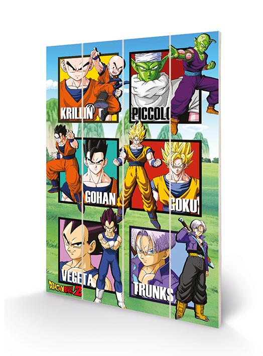 DRAGON BALL Z - Warrior Squares - Impression sur bois 40x59cm
