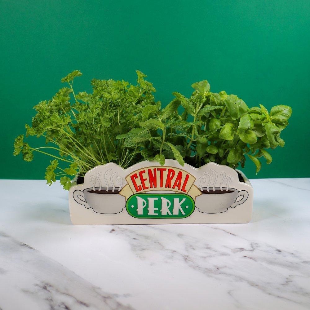 FRIENDS - Central Perk - Pot de fleurs / Vase de table
