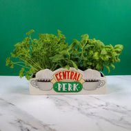 FRIENDS - Central Perk - Pot de fleurs / Vase de table