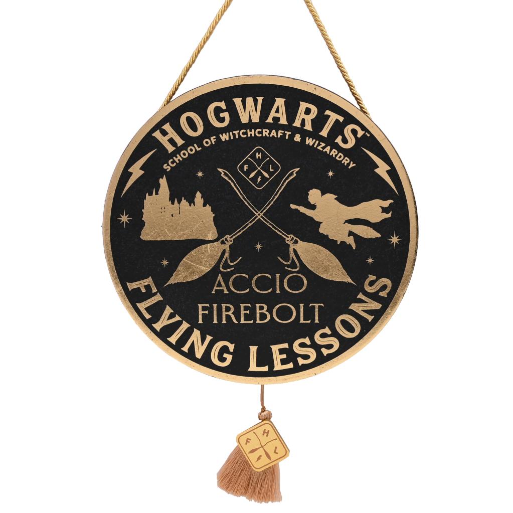 HARRY POTTER - Flying Lesson - Décoration Murale