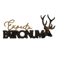 HARRY POTTER - Expecto Patronum - Décoration Murale